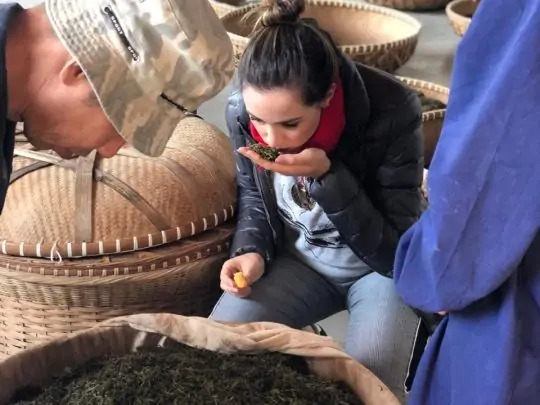 O fascinante mundo dos blends de Chá