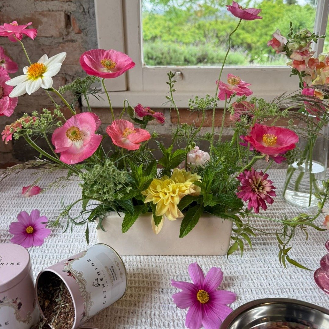 Catherine e Flor Alada Experience