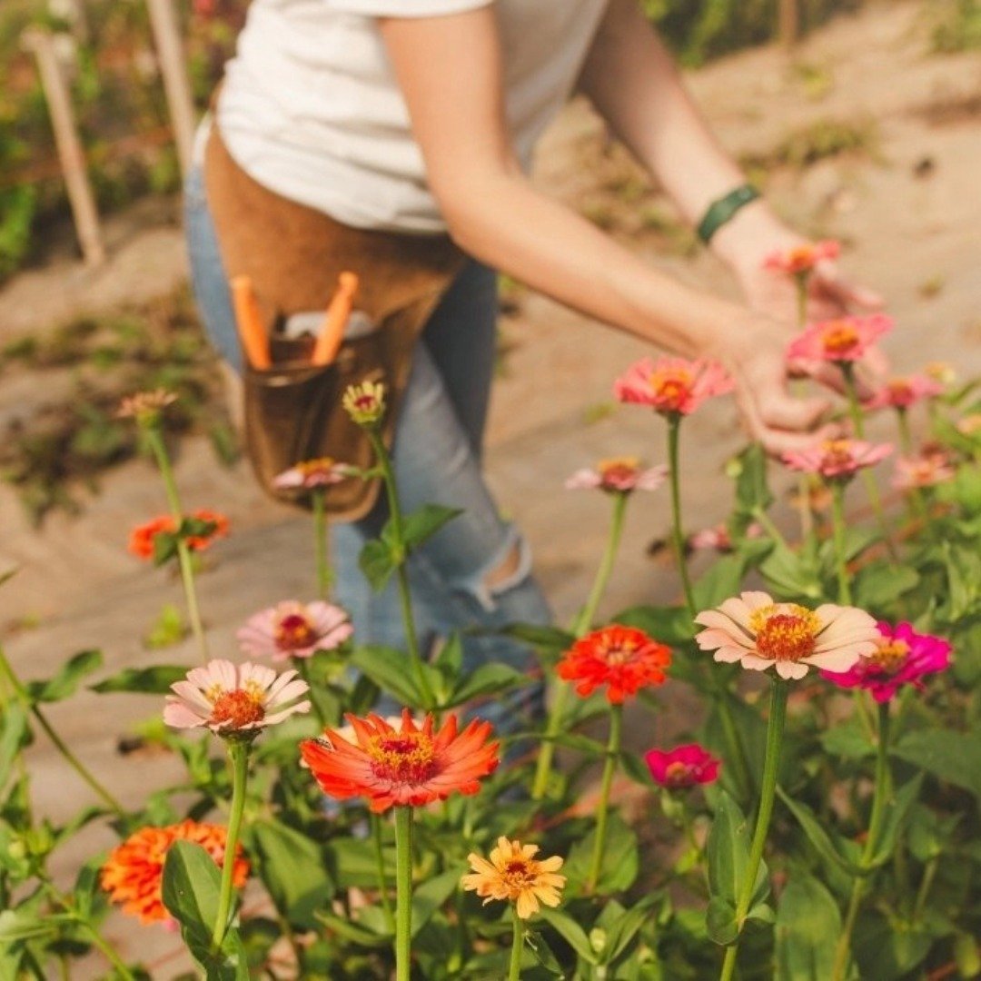 Monte seu arranjo floral