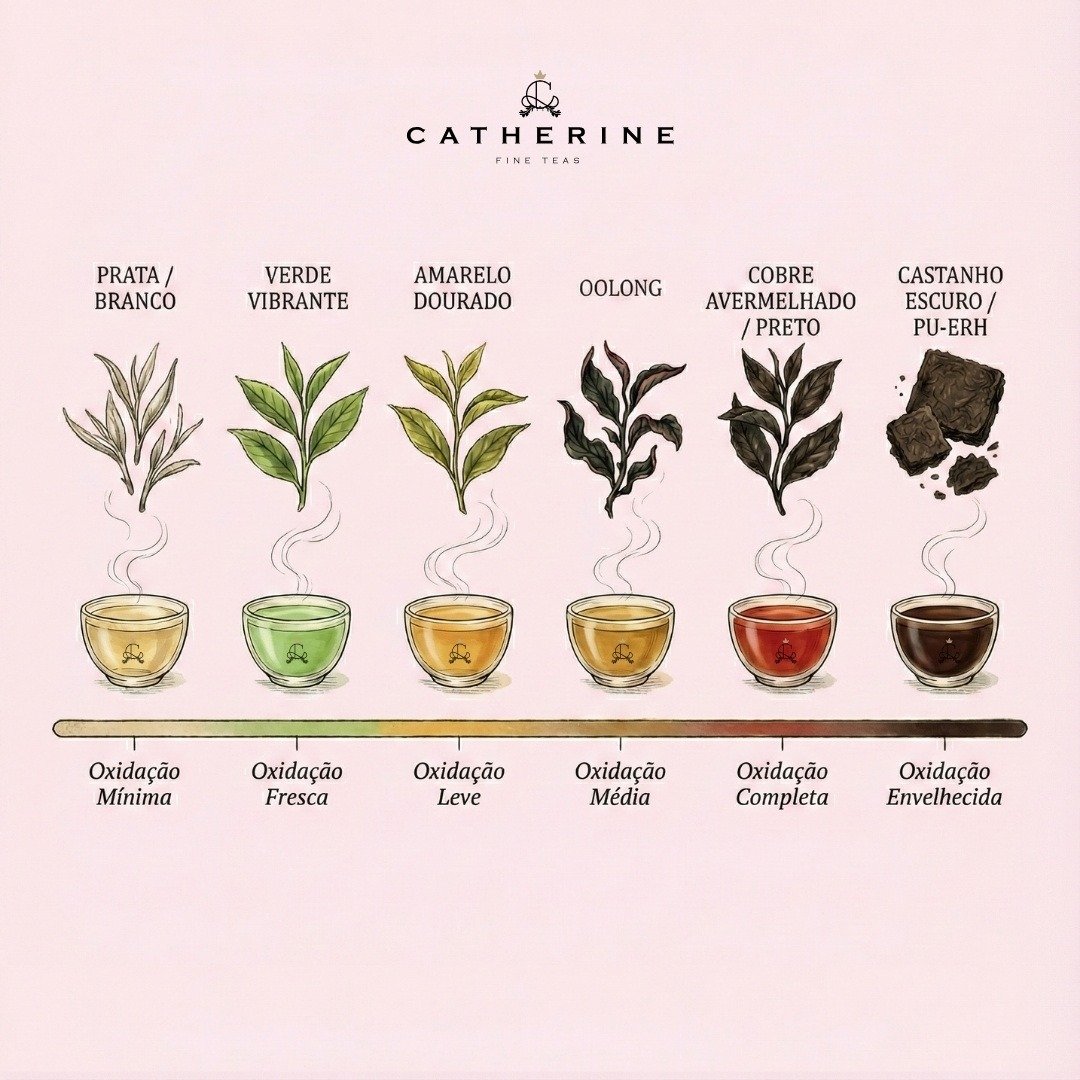 Camellia sinensis: O espectro da oxidação chás