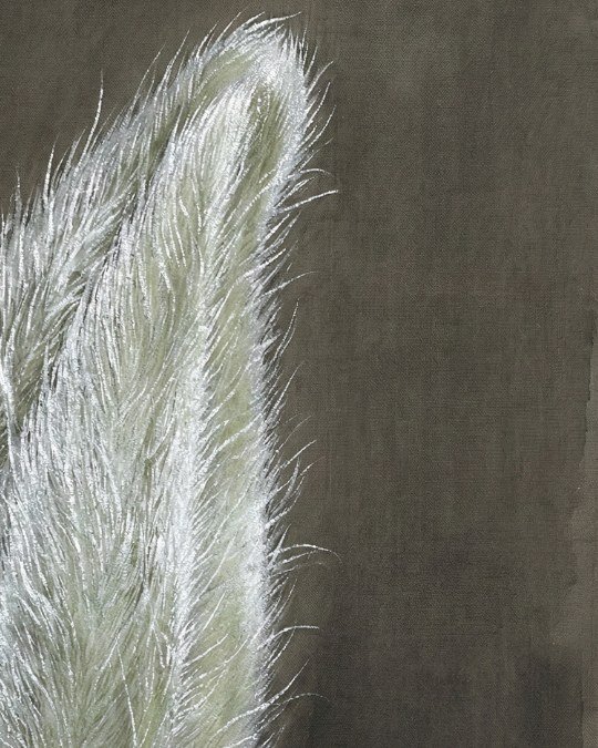 Fotografia macroscópica de alta definição mostrando os tricomas (penugem prateada) cobrindo um broto de chá branco, evidenciando a defesa natural e a qualidade da planta.