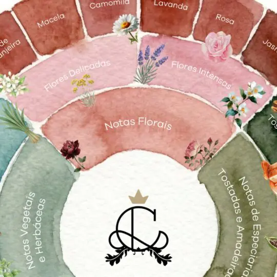 Detalhe artístico da Roda de Aromas da Catherine Fine Teas em aquarela, focando nas notas florais e vegetais com ilustrações de lavanda e camomila.