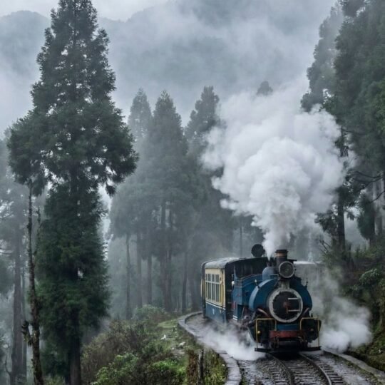 Viagem de trem pelas montanhas de Darjeeling rumo às plantações de chá de altitude, onde nascem os blends mais sofisticados do mundo.